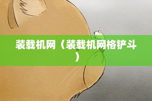 装载机网（装载机网格铲斗）