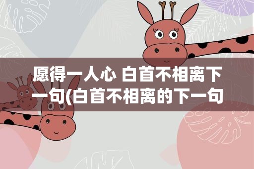 愿得一人心 白首不相离下一句(白首不相离的下一句是什么)