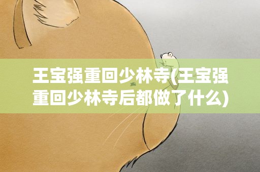 王宝强重回少林寺(王宝强重回少林寺后都做了什么)