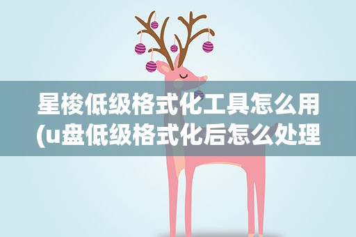 星梭低级格式化工具怎么用(u盘低级格式化后怎么处理)