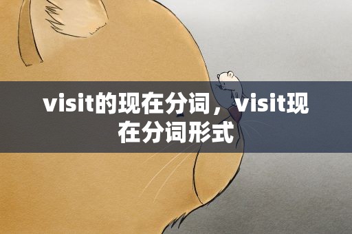 visit的现在分词，visit现在分词形式