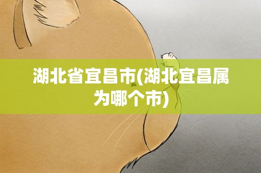湖北省宜昌市(湖北宜昌属为哪个市)