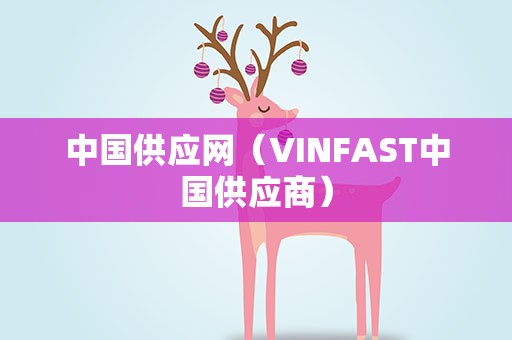 中国供应网（VINFAST中国供应商）