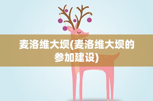 麦洛维大坝(麦洛维大坝的参加建设)