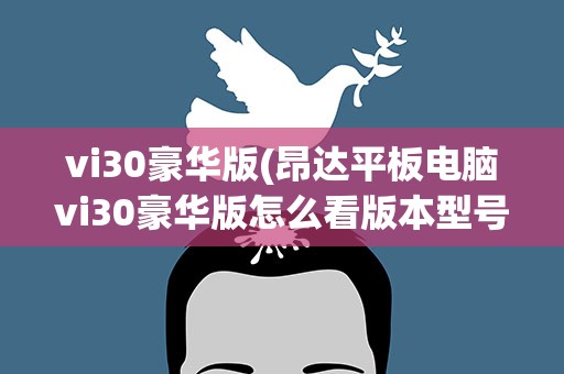 vi30豪华版(昂达平板电脑vi30豪华版怎么看版本型号)