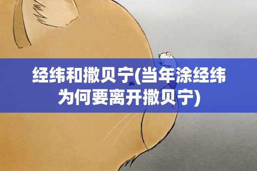 经纬和撒贝宁(当年涂经纬为何要离开撒贝宁)