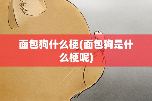 面包狗什么梗(面包狗是什么梗呢)