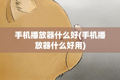 手机播放器什么好(手机播放器什么好用)