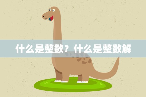 什么是整数？什么是整数解