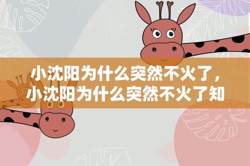 小沈阳为什么突然不火了，小沈阳为什么突然不火了知乎