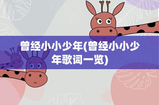 曾经小小少年(曾经小小少年歌词一览)