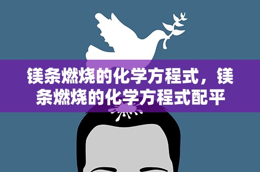 镁条燃烧的化学方程式，镁条燃烧的化学方程式配平