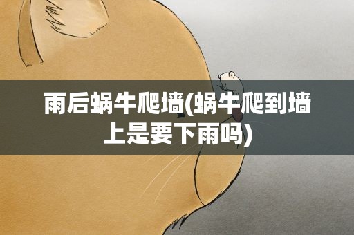 雨后蜗牛爬墙(蜗牛爬到墙上是要下雨吗)