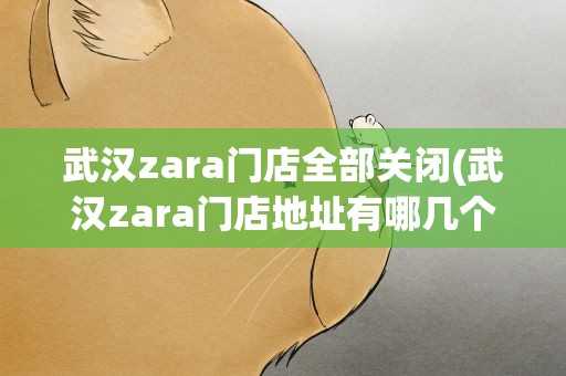 武汉zara门店全部关闭(武汉zara门店地址有哪几个)