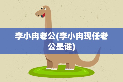 李小冉老公(李小冉现任老公是谁)