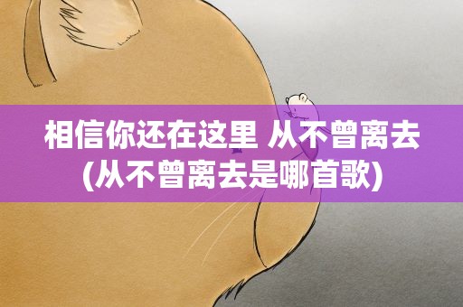 相信你还在这里 从不曾离去(从不曾离去是哪首歌)