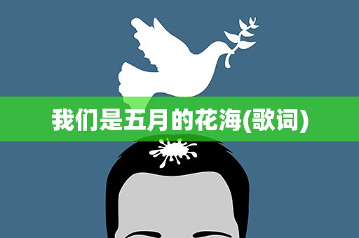 我们是五月的花海(歌词)