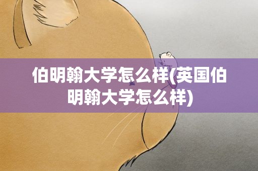 伯明翰大学怎么样(英国伯明翰大学怎么样)