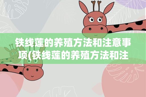 铁线莲的养殖方法和注意事项(铁线莲的养殖方法和注意事项都有哪些)