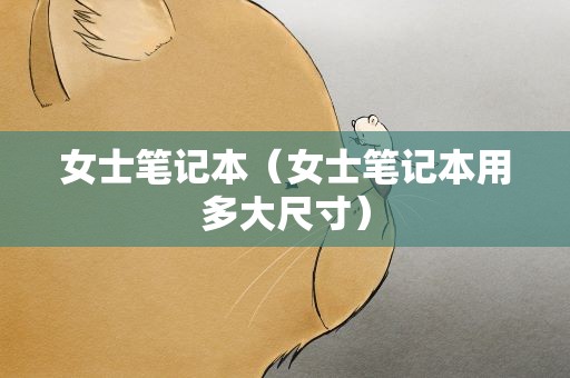 女士笔记本（女士笔记本用多大尺寸）