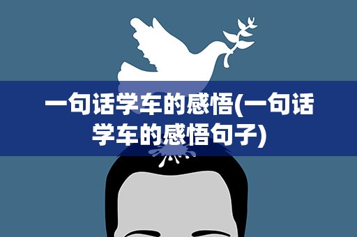 一句话学车的感悟(一句话学车的感悟句子)