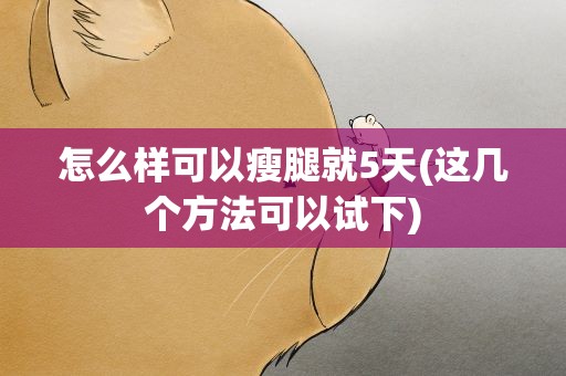 怎么样可以瘦腿就5天(这几个方法可以试下)