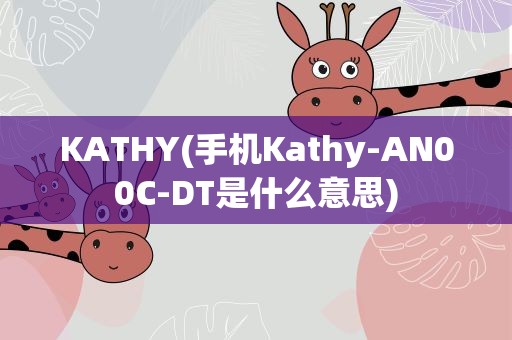 KATHY(手机Kathy-AN00C-DT是什么意思)