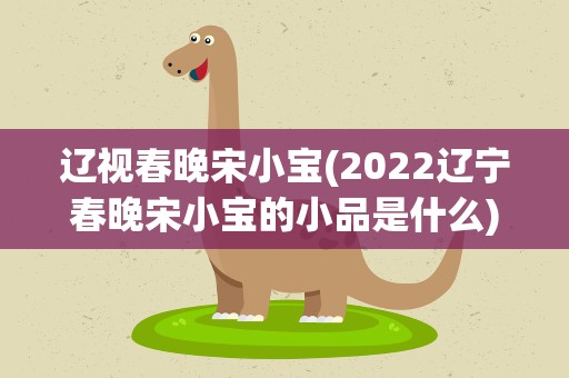 辽视春晚宋小宝(2022辽宁春晚宋小宝的小品是什么)