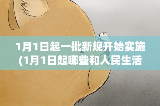 1月1日起一批新规开始实施(1月1日起哪些和人民生活密切相关的新规正式实施)