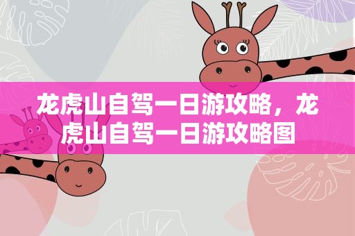 龙虎山自驾一日游攻略，龙虎山自驾一日游攻略图