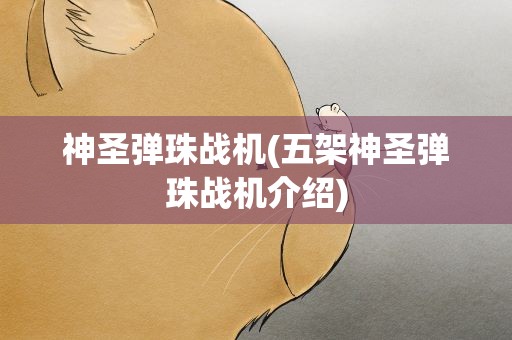 神圣弹珠战机(五架神圣弹珠战机介绍)