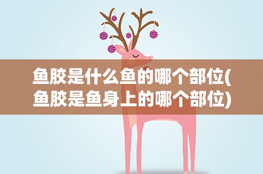 鱼胶是什么鱼的哪个部位(鱼胶是鱼身上的哪个部位)