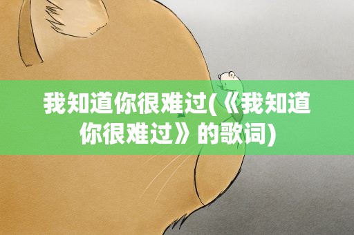 我知道你很难过(《我知道你很难过》的歌词)