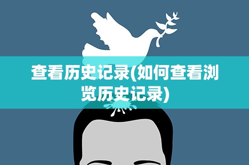 查看历史记录(如何查看浏览历史记录)