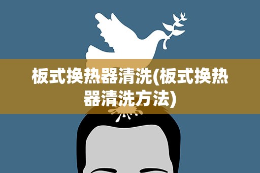 板式换热器清洗(板式换热器清洗方法)