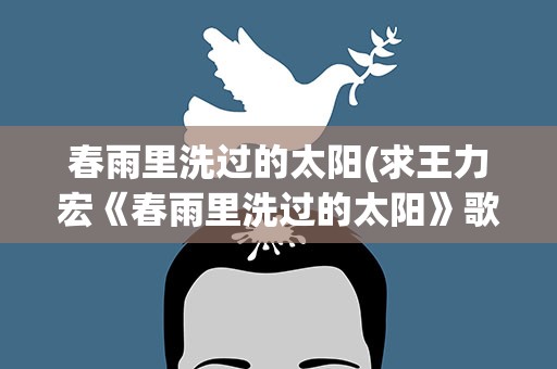 春雨里洗过的太阳(求王力宏《春雨里洗过的太阳》歌词)
