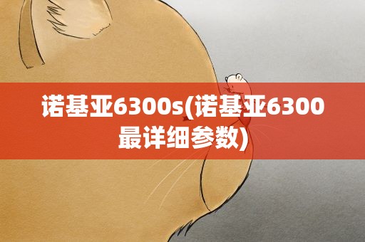 诺基亚6300s(诺基亚6300最详细参数)