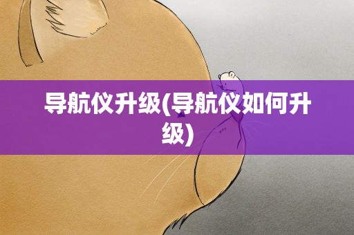 导航仪升级(导航仪如何升级)