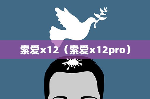 索爱x12（索爱x12pro）