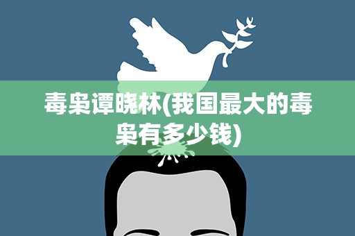 毒枭谭晓林(我国最大的毒枭有多少钱)