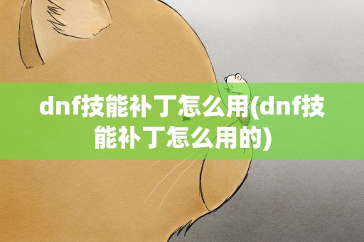 dnf技能补丁怎么用(dnf技能补丁怎么用的)