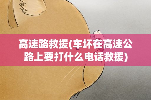 高速路救援(车坏在高速公路上要打什么电话救援)