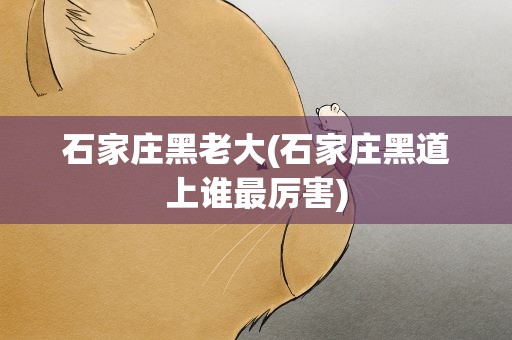 石家庄黑老大(石家庄黑道上谁最厉害)