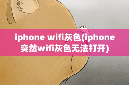iphone wifi灰色(iphone突然wifi灰色无法打开)
