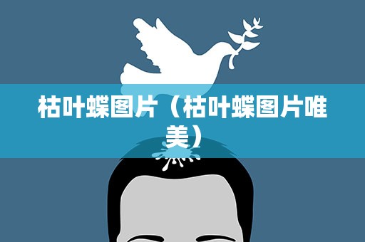枯叶蝶图片（枯叶蝶图片唯美）