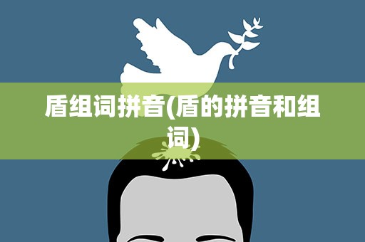 盾组词拼音(盾的拼音和组词)
