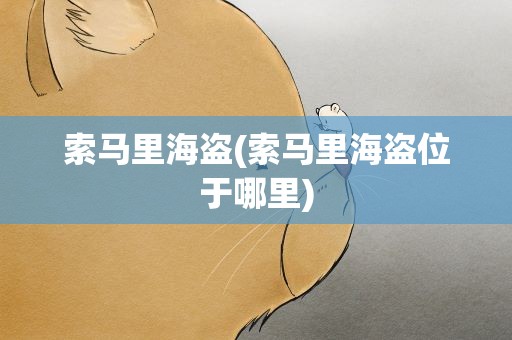 索马里海盗(索马里海盗位于哪里)