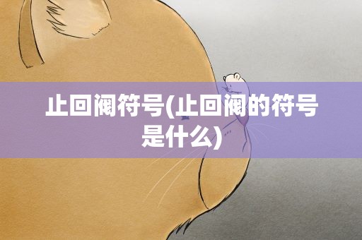 止回阀符号(止回阀的符号是什么)