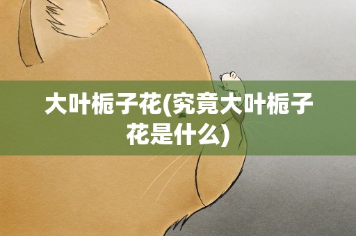 大叶栀子花(究竟大叶栀子花是什么)