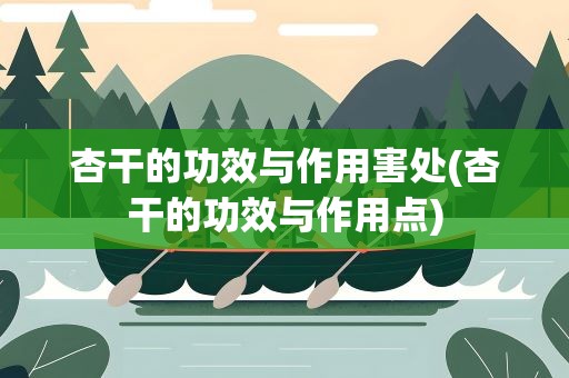 杏干的功效与作用害处(杏干的功效与作用点)